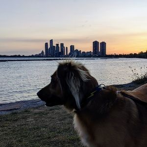 Meet your Posher, Cody